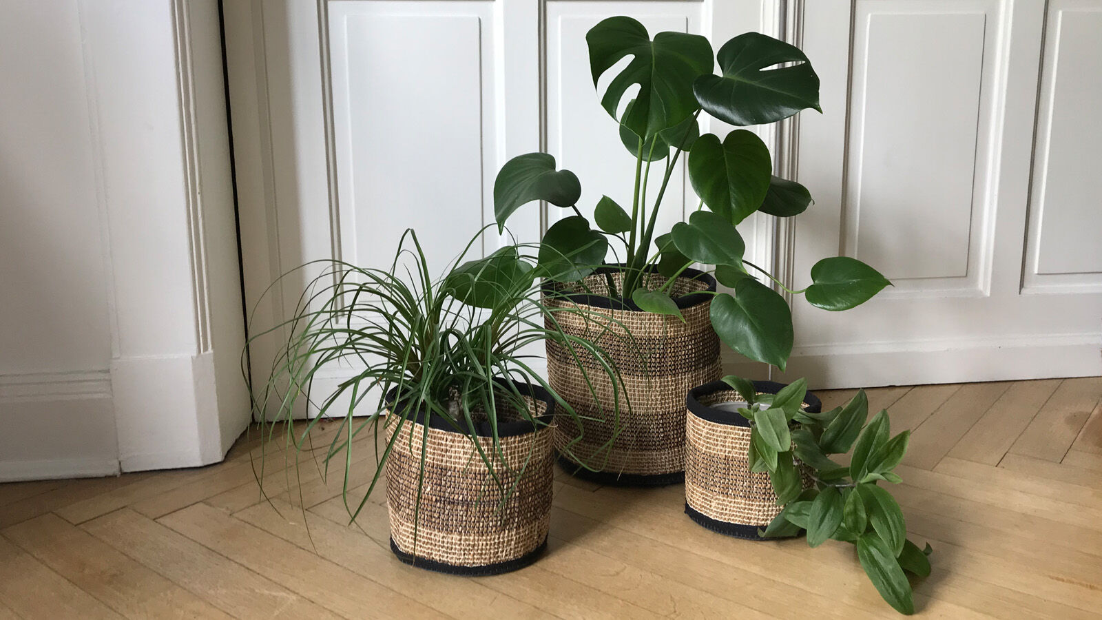 Un faro para una globalización justa-4