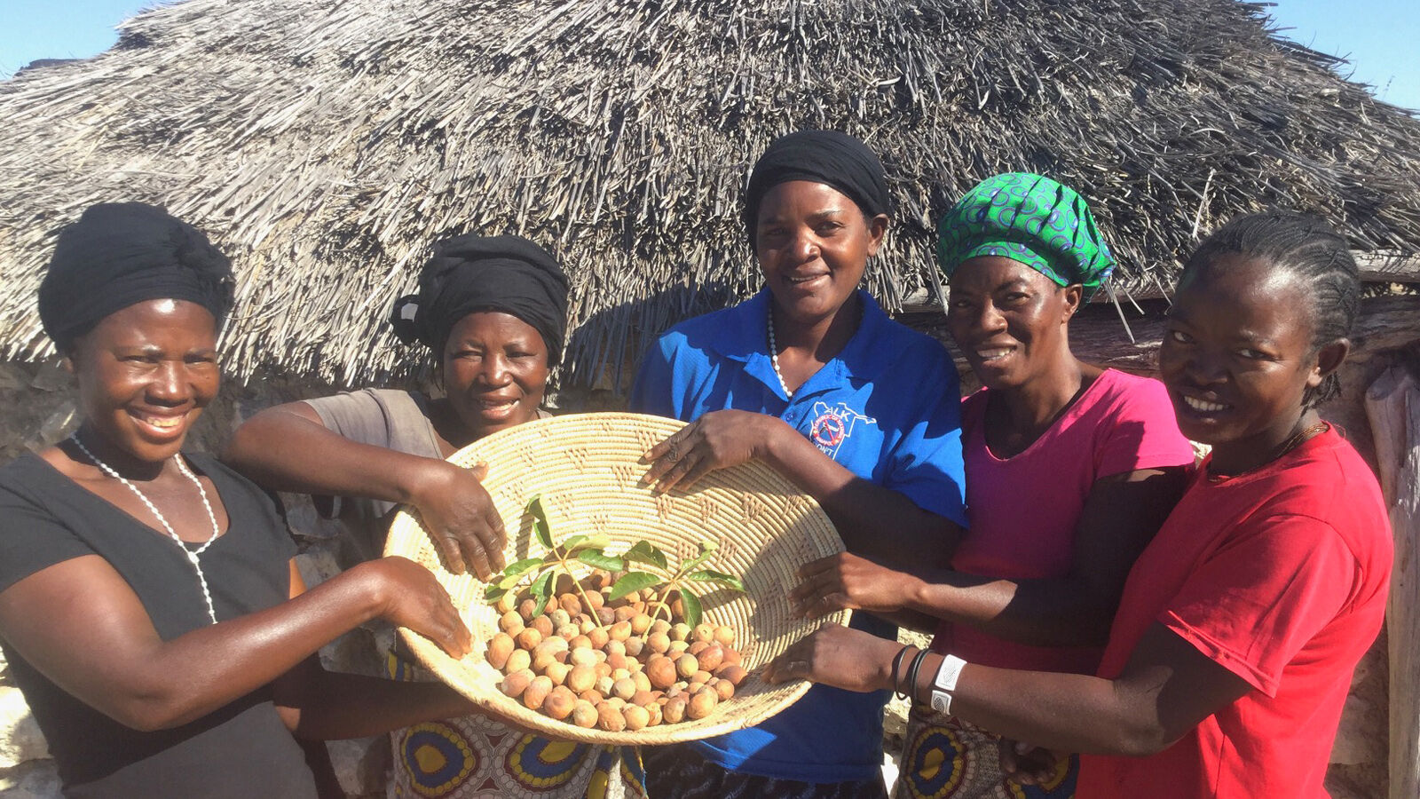 Árboles de la vida-1