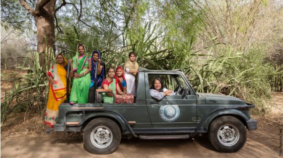 Los tigres de Bengala del Parque Nacional de Rhantambore, en la India, son animales realmente ...