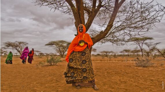 La empresa Little Sun está comprometida con el acceso mundial a la energía limpia....