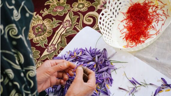 El hambre y la necesidad imperan en Afganistán. La situación política dificulta la prestaci...