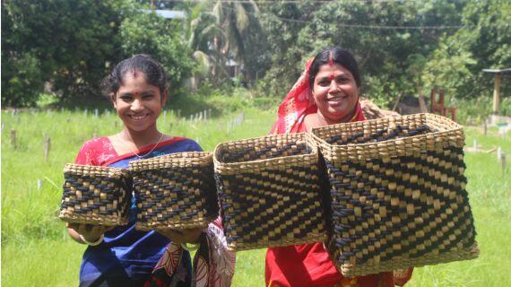 Prokitree, una organización sin ánimo de lucro de Bangladesh....